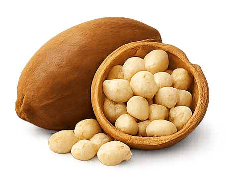 Baobá
